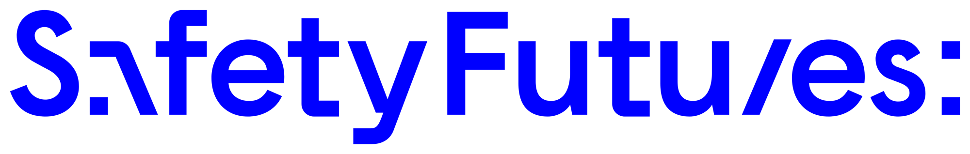 Safety_Futures_Logo_Horizontal_Blue_PMS_072 (1).pdf